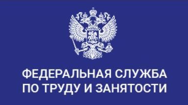 Правовой статус федеральной службы по труду и занятости российской федерации презентация